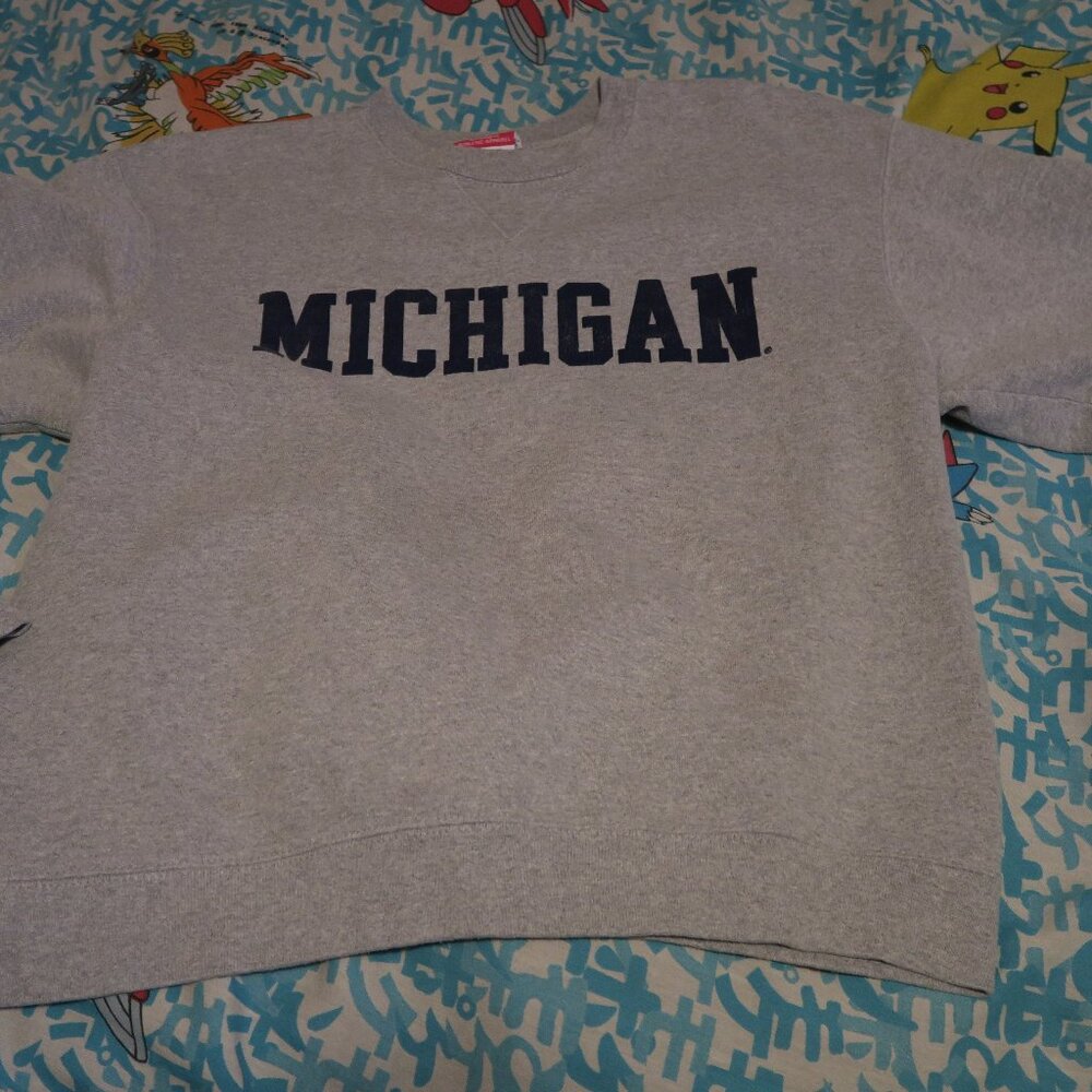 Champion Michigan Wolverines University Sweatshirt Size Medium Gray Boxy